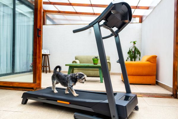 Cost of Treadmill Installation in Bend