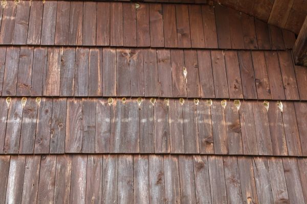 Woodpecker Hole Filling in Bend