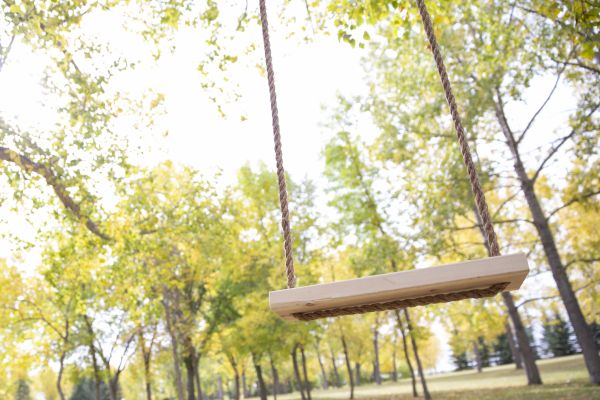 Cost of Tree Swing Installation in Bend