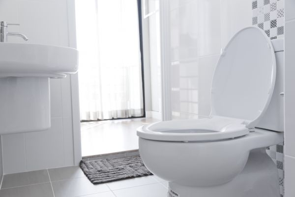 Cost of Toilet Seat Installation in Bend