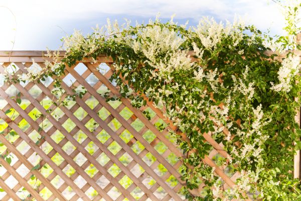 Cost of Lattice Repair in Bend
