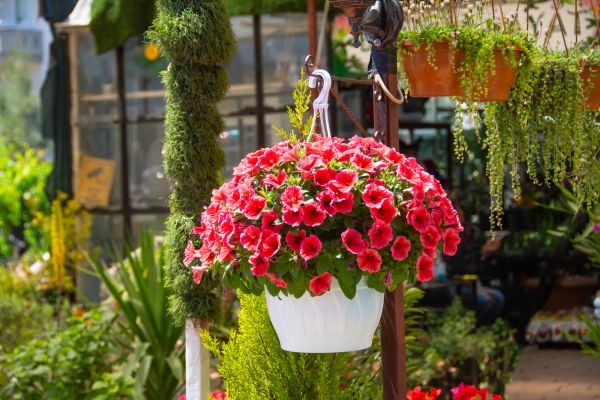 Cost of Hanging Planter Installation in Bend