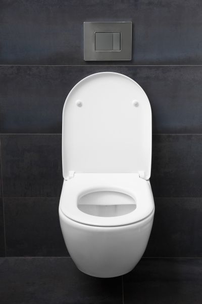 Cost of Toilet Lid Installation in Bend