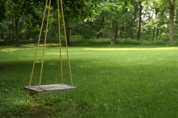 Cost of Rope Swing Installation in Bend