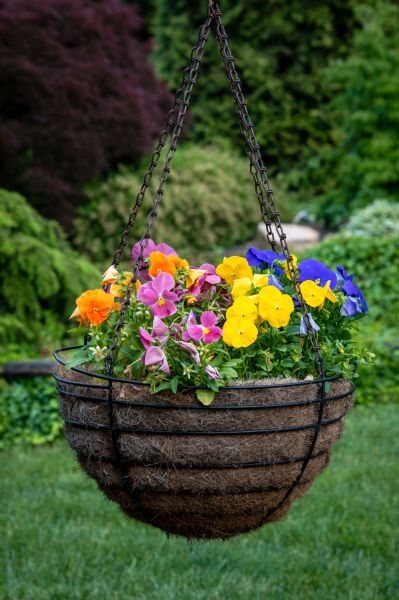 Cost of Hanging Basket Installation in Bend