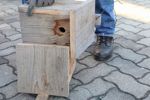 Cost of Birdhouse Mounting in Bend