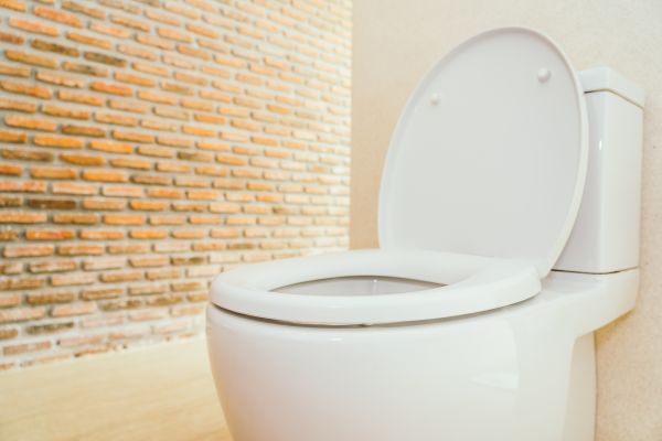 Cost of Toilet Seat Repair in Bend